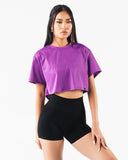Margo Mesh Crop Tee - Blaze
